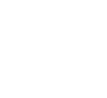 The NY Times